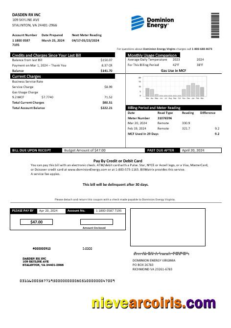 USA Dominion Energy business utility bill